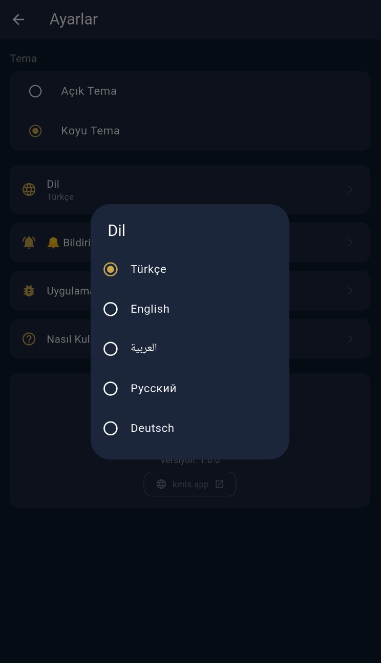 Dil seçimi